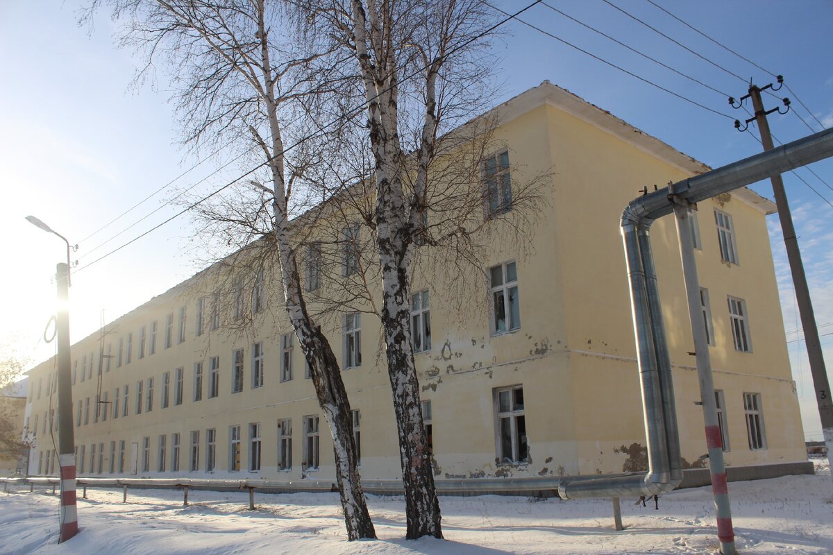 Фото мяукающего автора