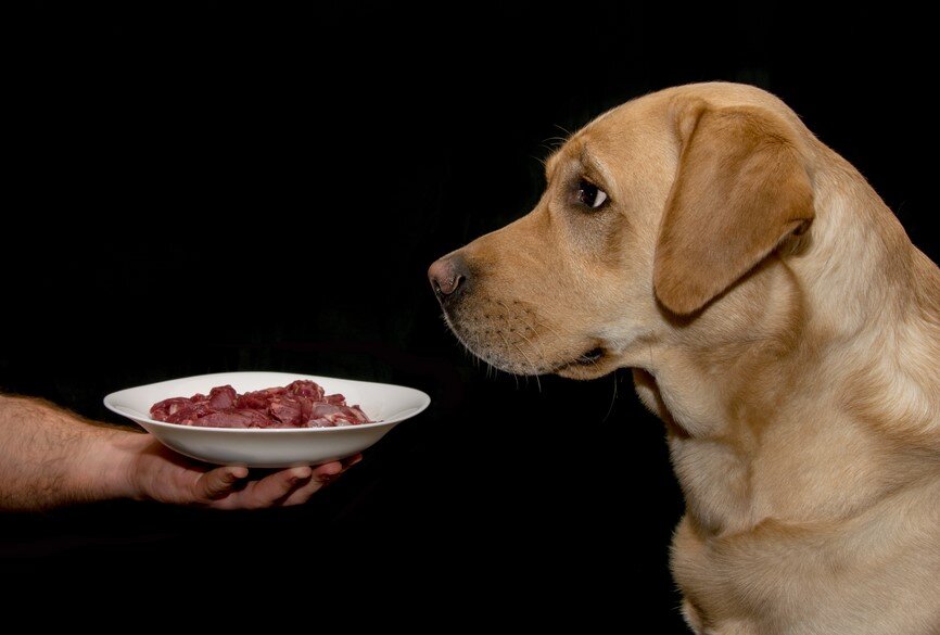 фото яндекс.картинки