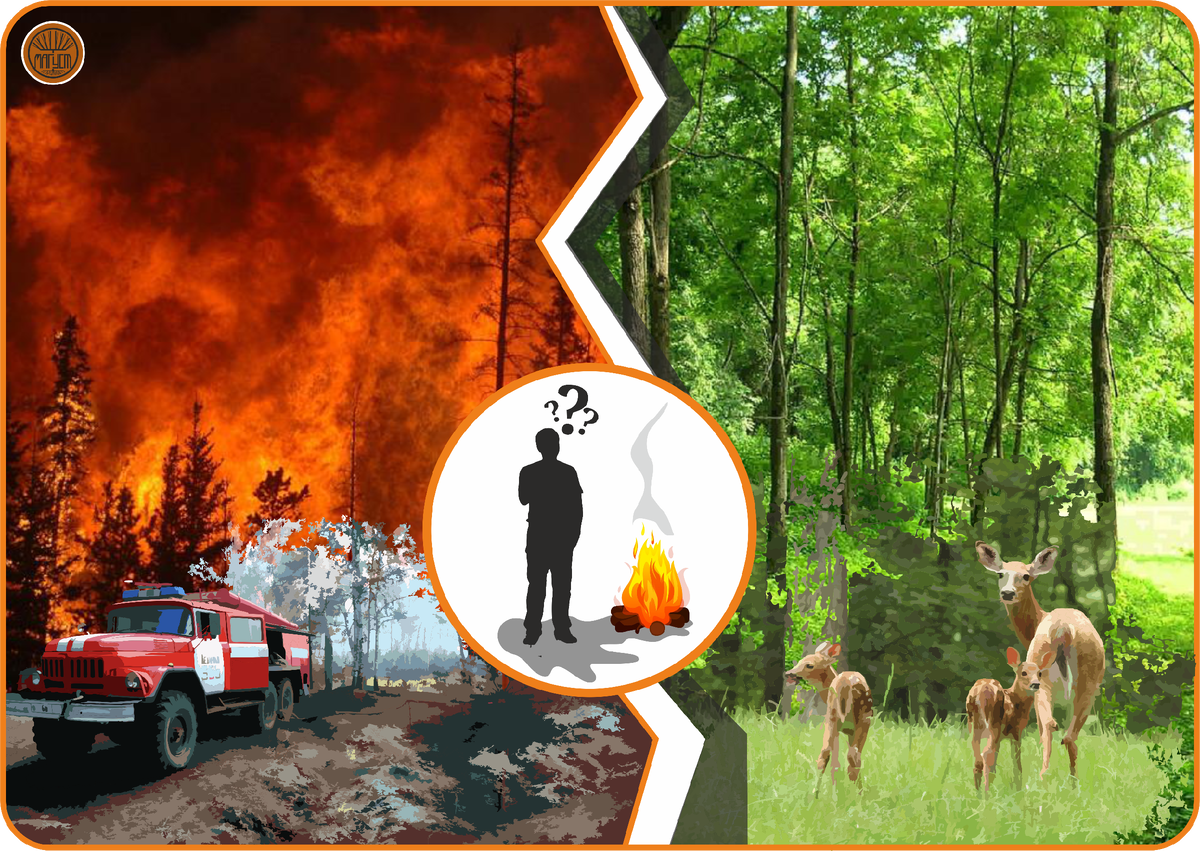 Варварство или гуманность???   Ненависть или любовь???