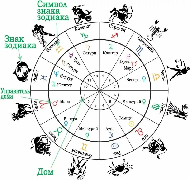 Какой зодиак. Гороскоп. Астрологический гороскоп. Карткартта знаков зодиака. Дома гороскопа.