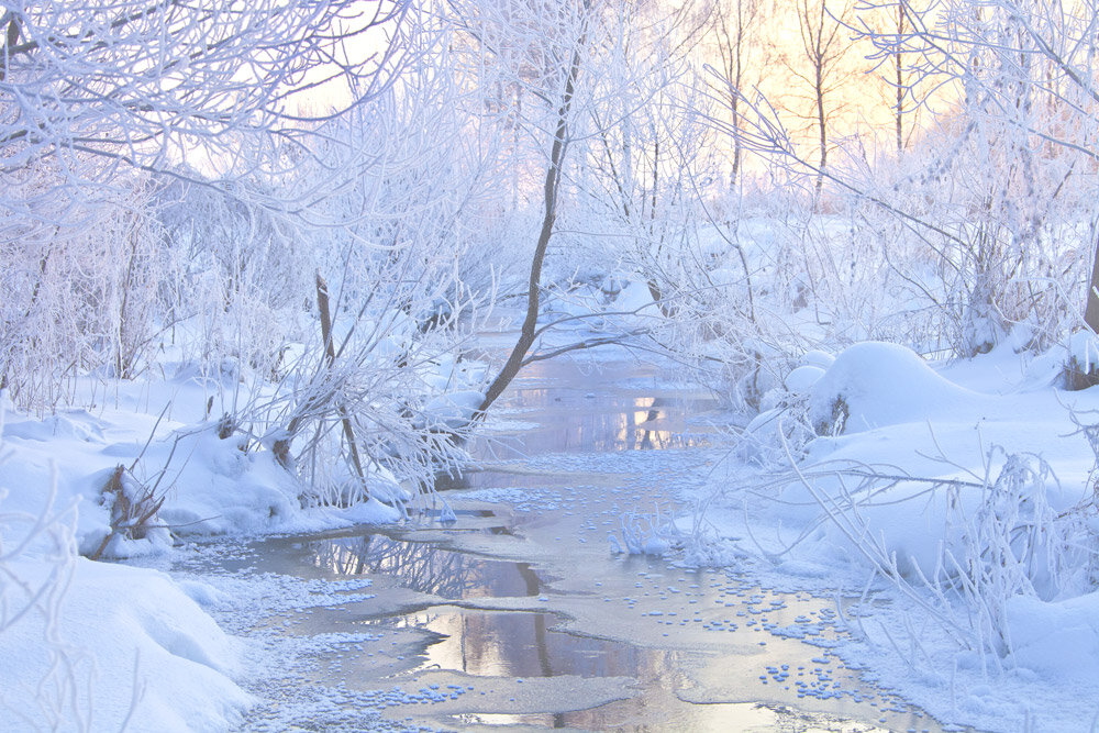Тают зимние сугробы. Зимний ручей. Пейзаж зимний с ручьем. Зимний ручей в лесу. Ручей под снегом.