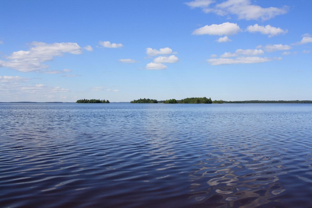 Сямозеро цвет воды коричневый почему