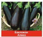 Сорт среднеспелый «Алмаз»