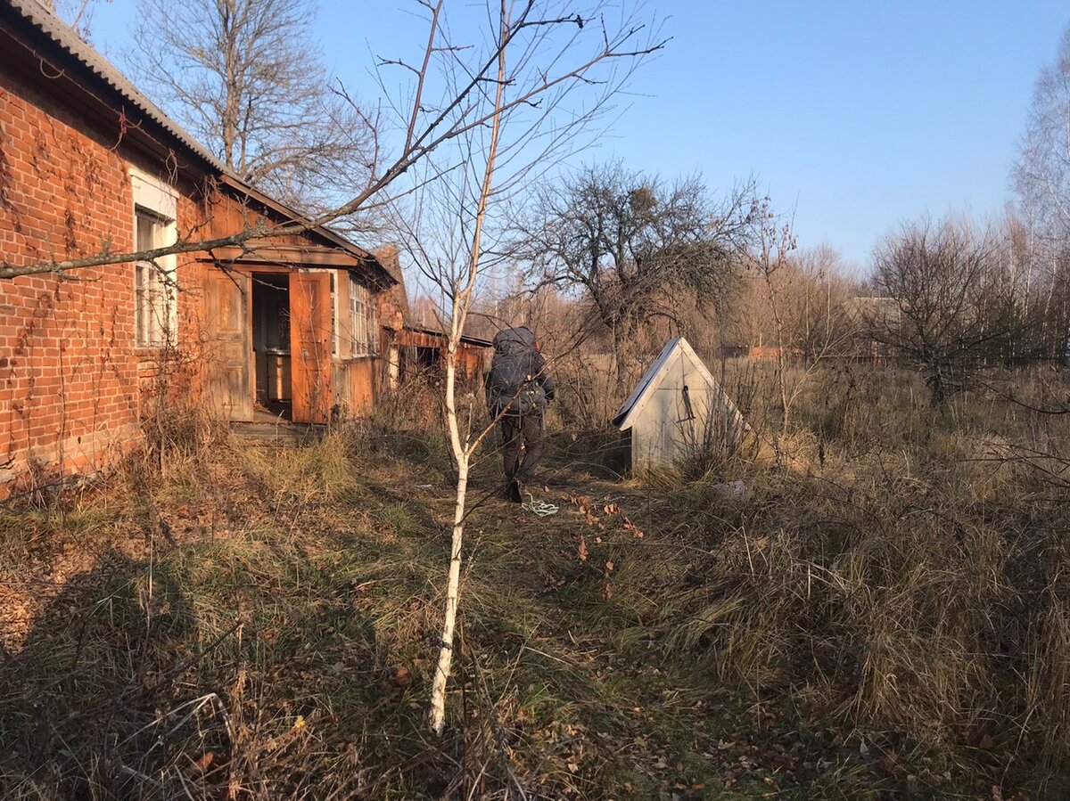 Дворик в Чернобыльской зоне, вид на сад