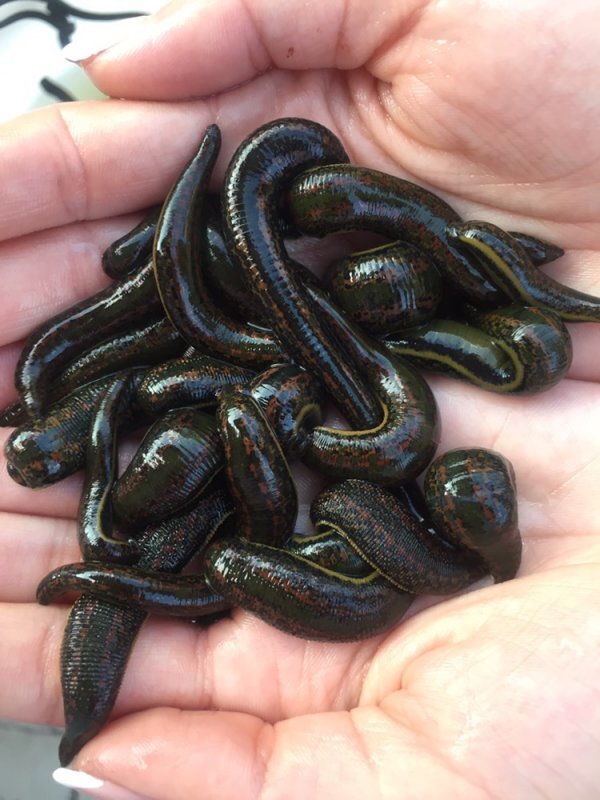 фото взято из открытых источников