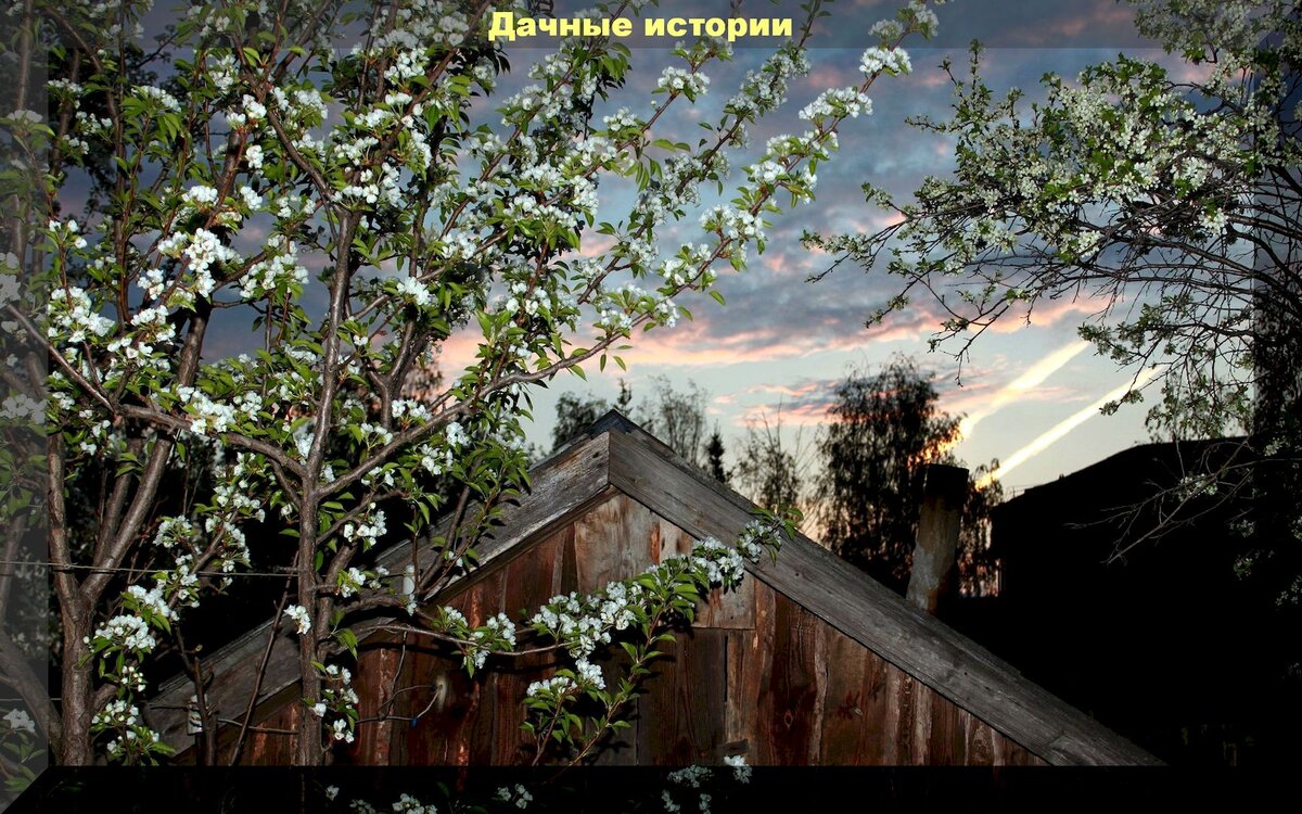 Домик для полезных насекомых в саду, на даче: как сделать своими руками