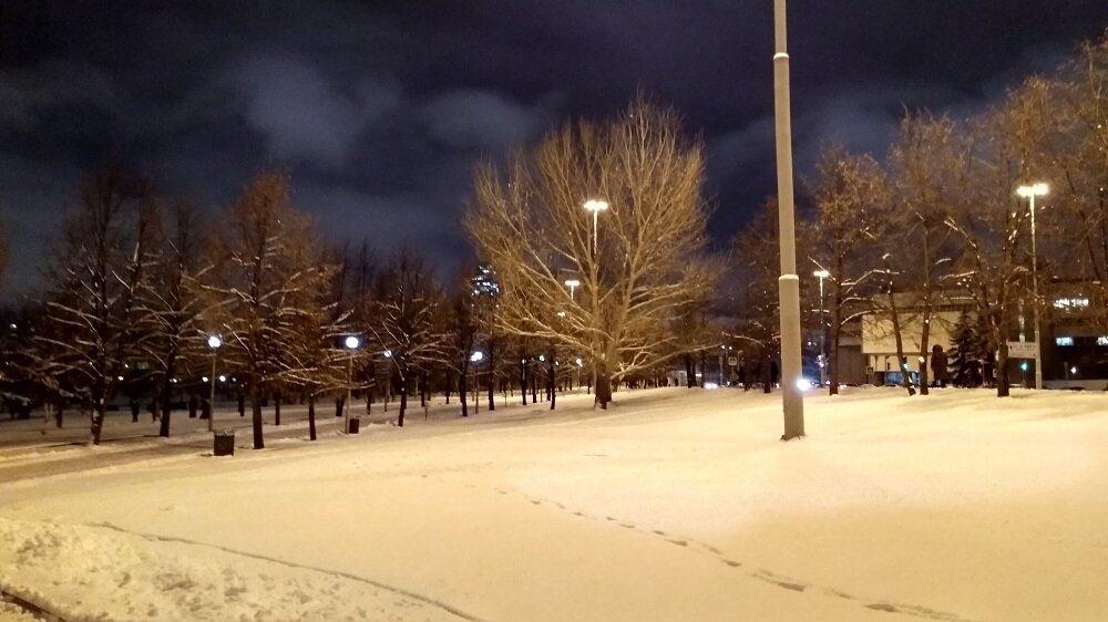 Сквер в Екатеринбурге удалось отстоять. Фото: Ex-Polit
