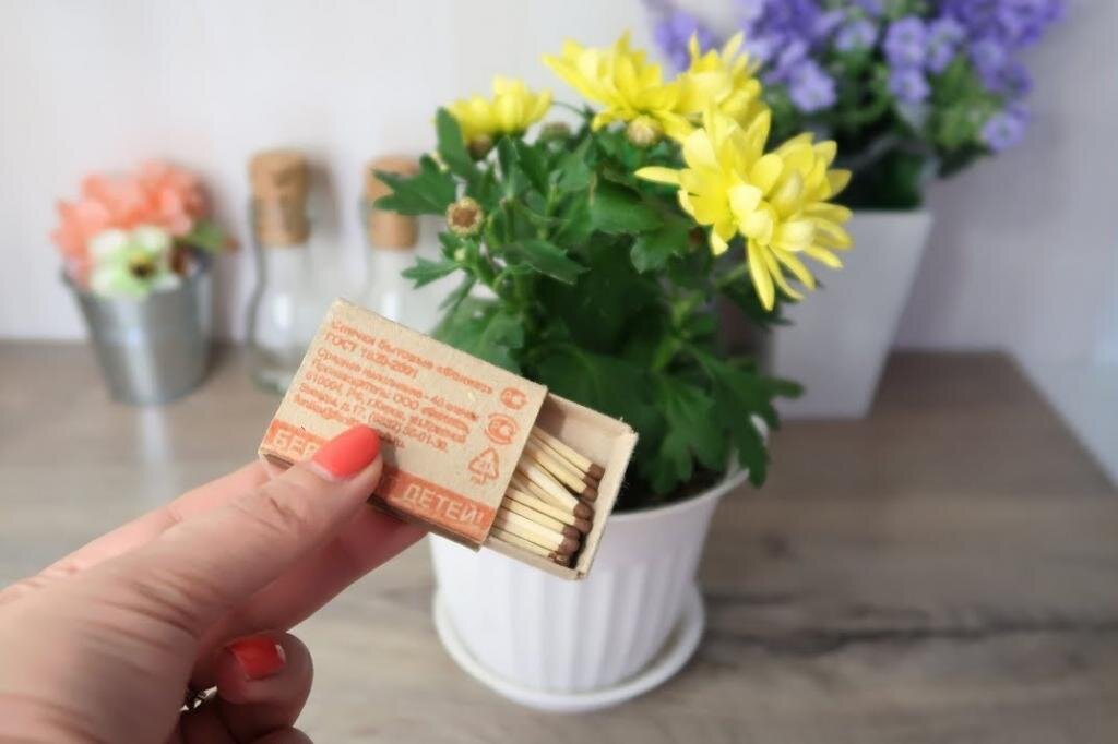 фото из яндекса