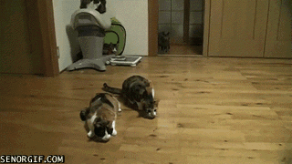 А ты куда  не мешай