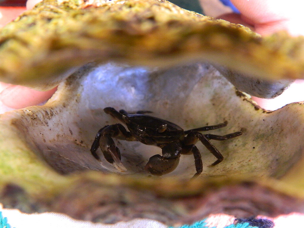 Шустриком прозвал его (убежал 😂)