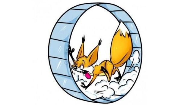 Белка в колесе. Картинка с поиска яндекс