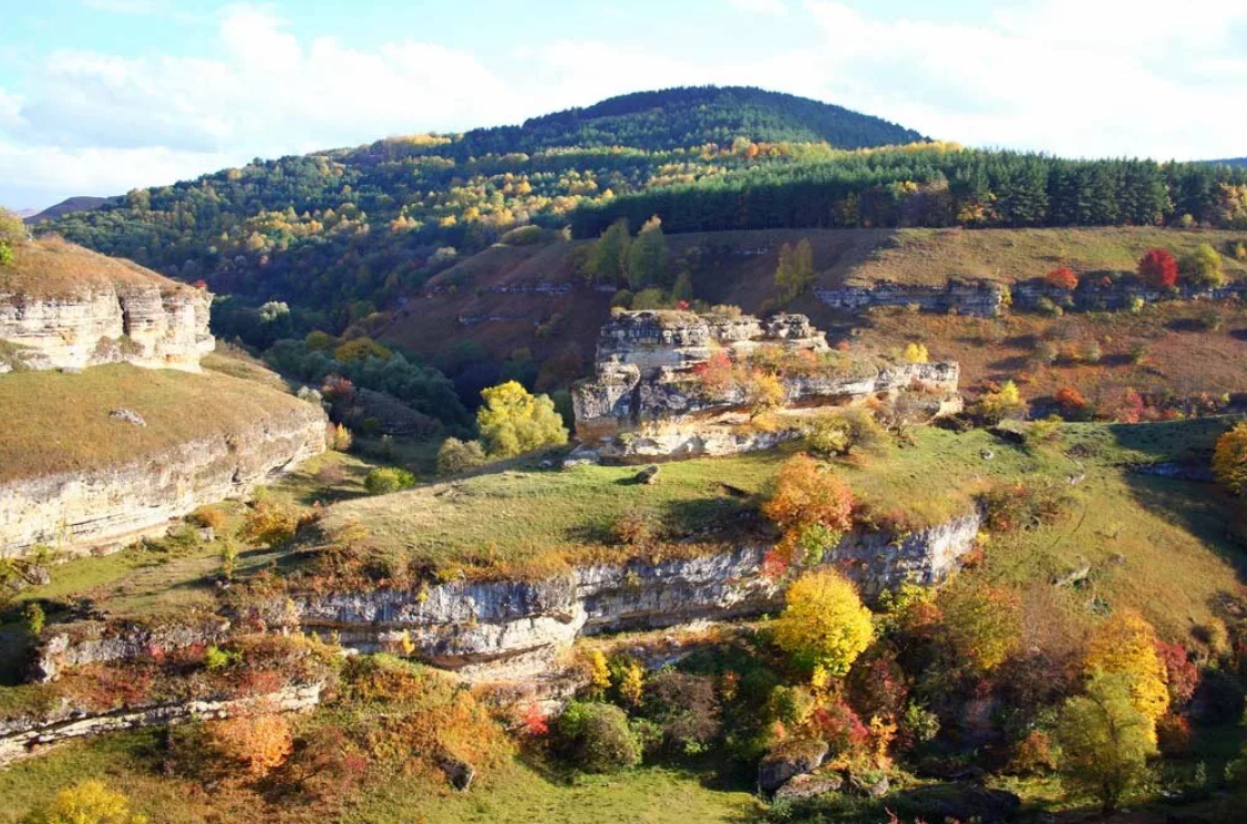 фото https://yandex.kz/collections/card/5c5e942d96e2c90079453e70/