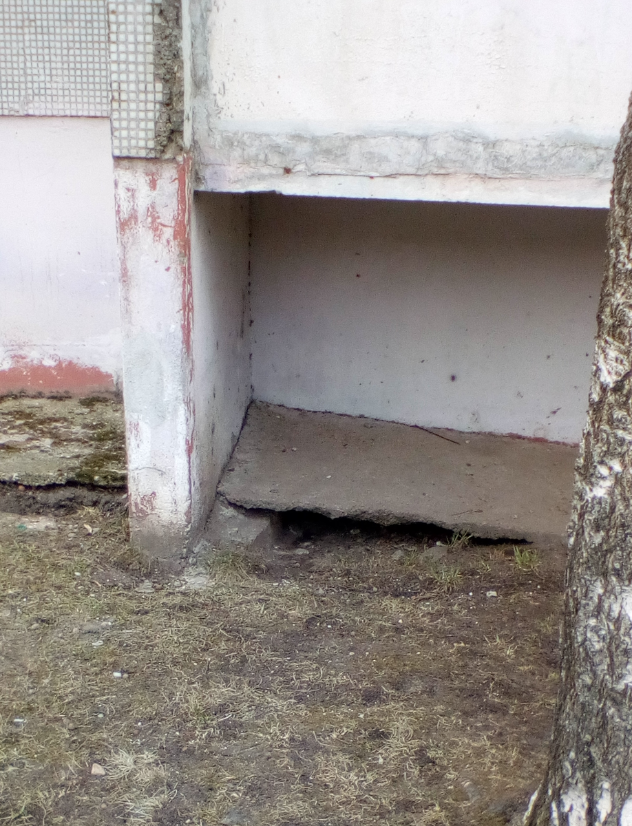 Фото из личного архива.