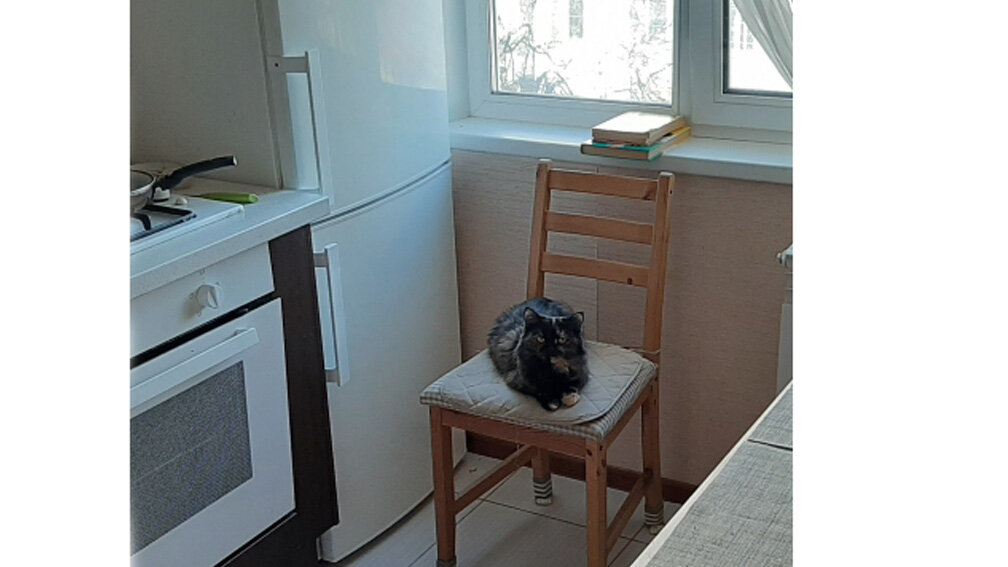 Всему виной.