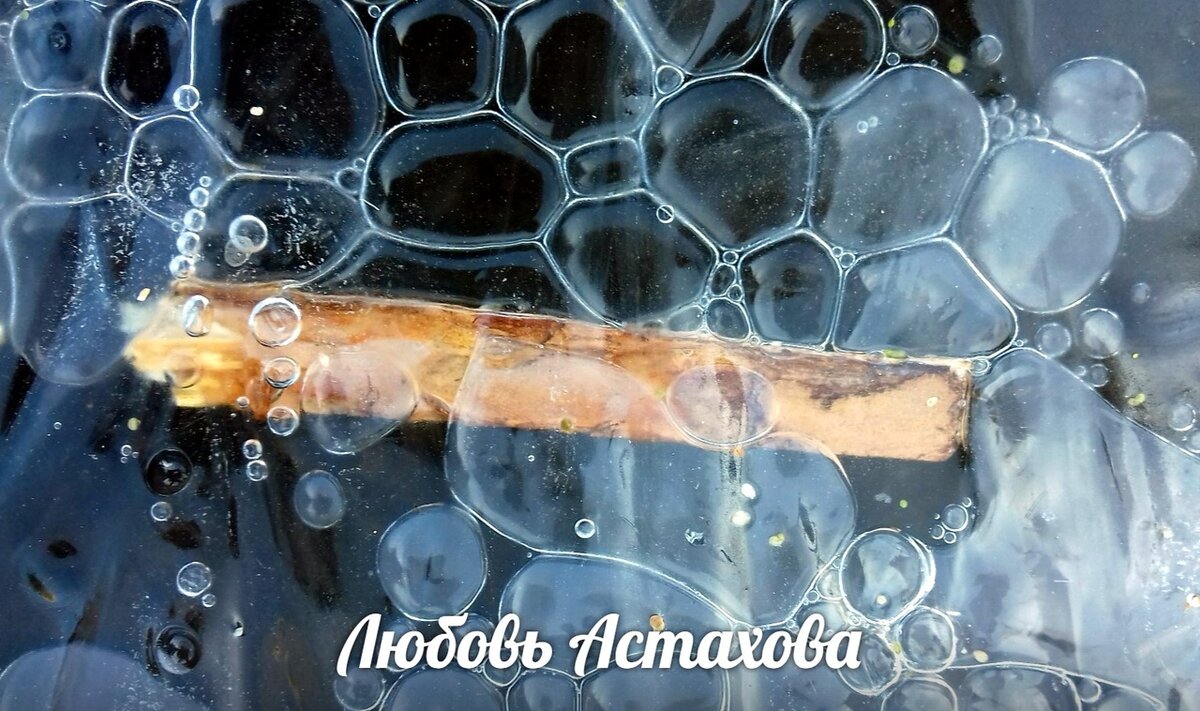 Перекладывая ответственность на других, мы не вправе всегда рассчитывать на лояльное отношение. Важно помнить, что в критической ситуации сработает закон самосохранения и мы окажемся в ловушке, из которой нужно будет выбираться самим.Листайте галерею.