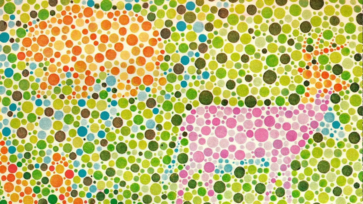 Если вы не видите здесь абсурдного поведения хищника и жертвы, то плохие новости