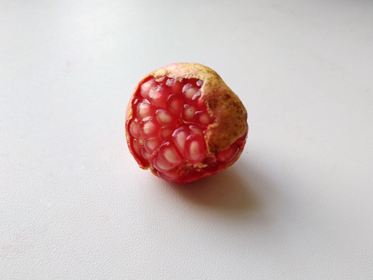 Первый урожай граната. Немедленно посеяла, конечно