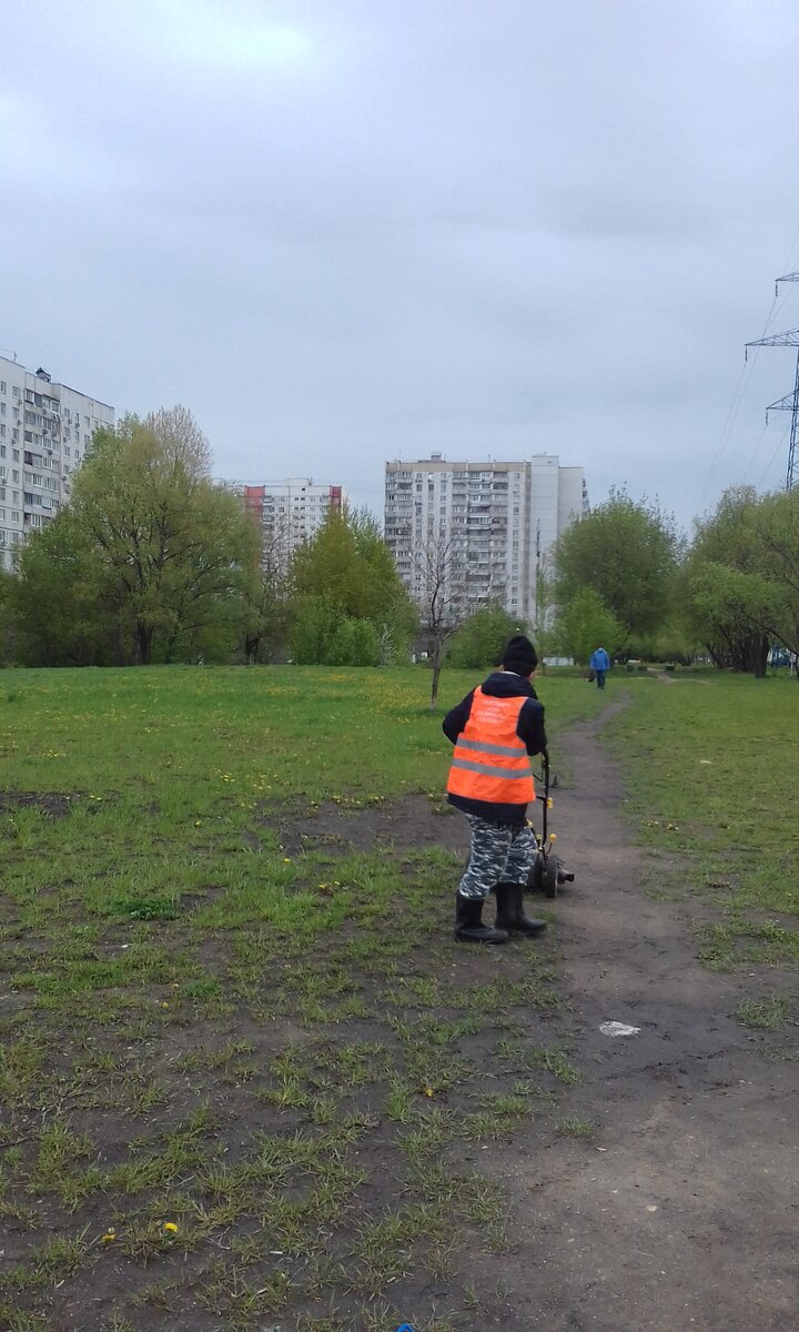 10.05.2020 Мы волшебную косим трын - траву... | Юлия Елисеева | Дзен