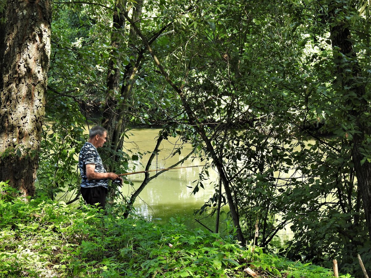 В парке "Дрозды" как оказалось были не все минчане, а он прекрасен! | О ...