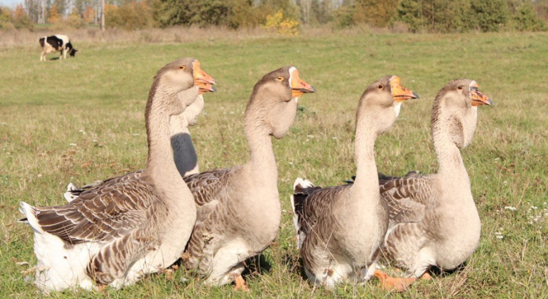 Евгений ЯКИМОВ