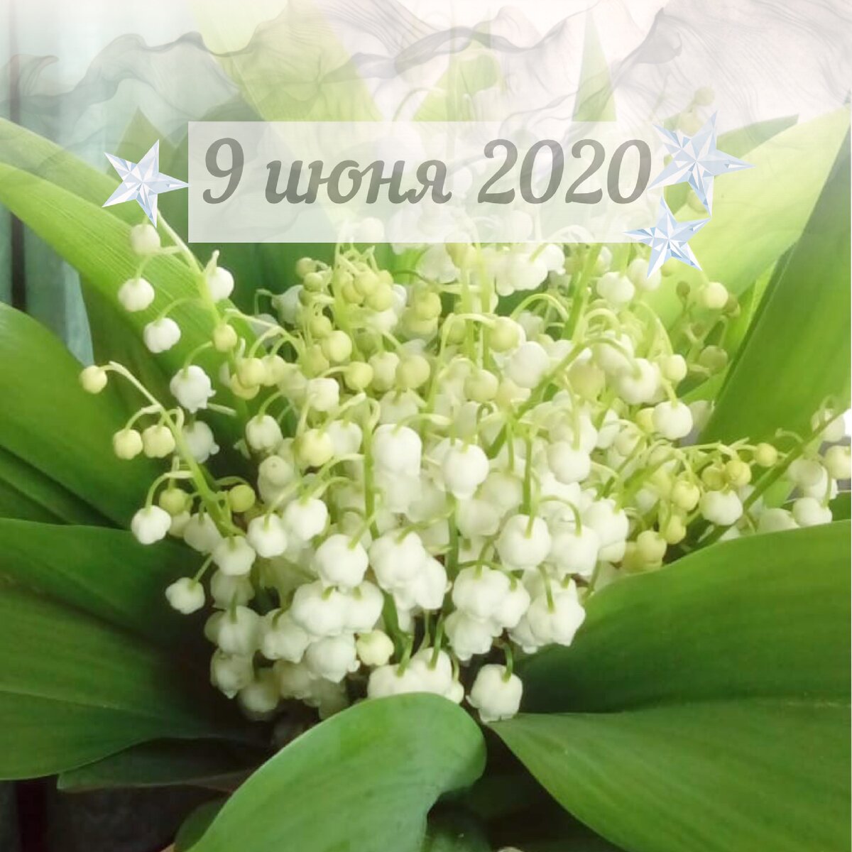 Стихия воздуха и море общения
