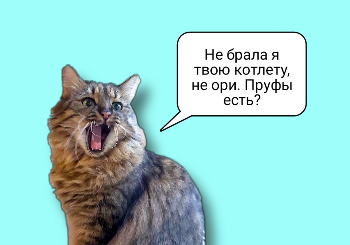 Как избежать кринжевых ситуаций?