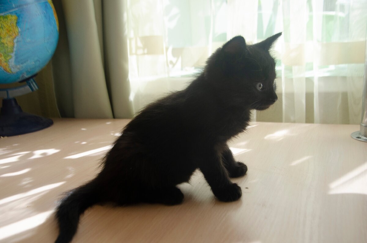 Феличита  в день нашего знакомства