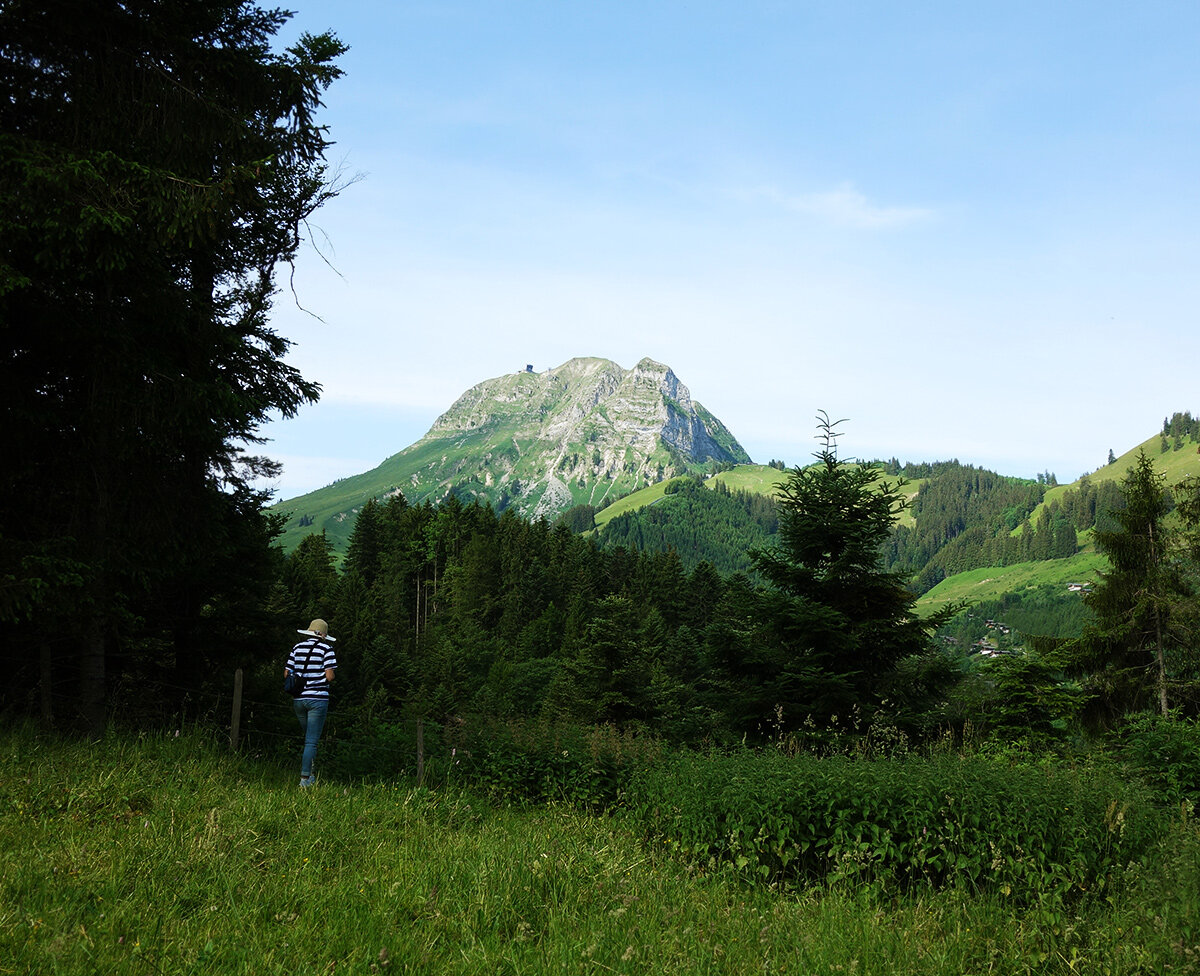Отправляемся к вершине Молезон, Швейцария 