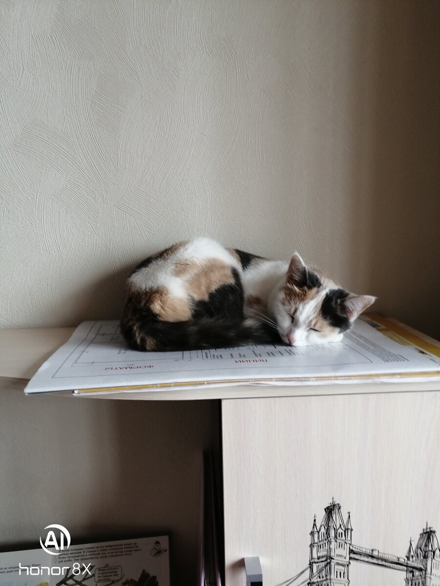Личное фото. 
