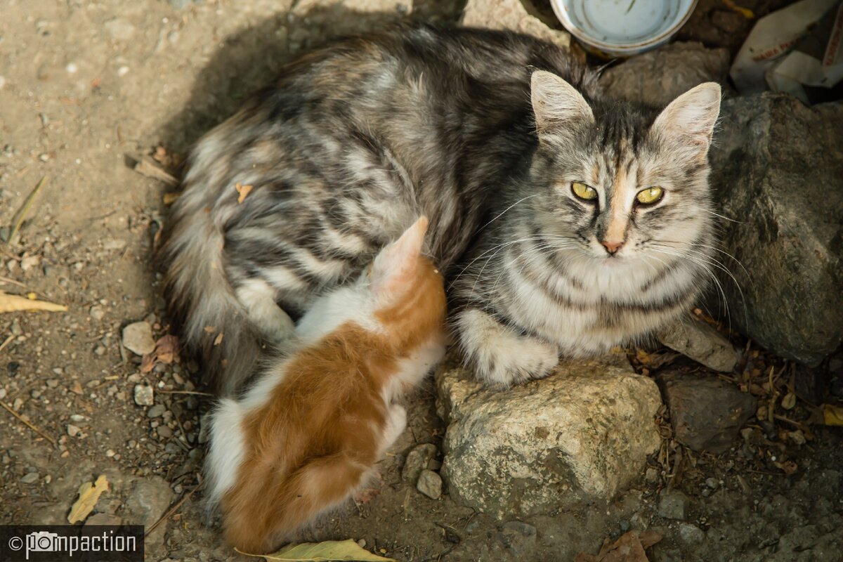 Время полдника