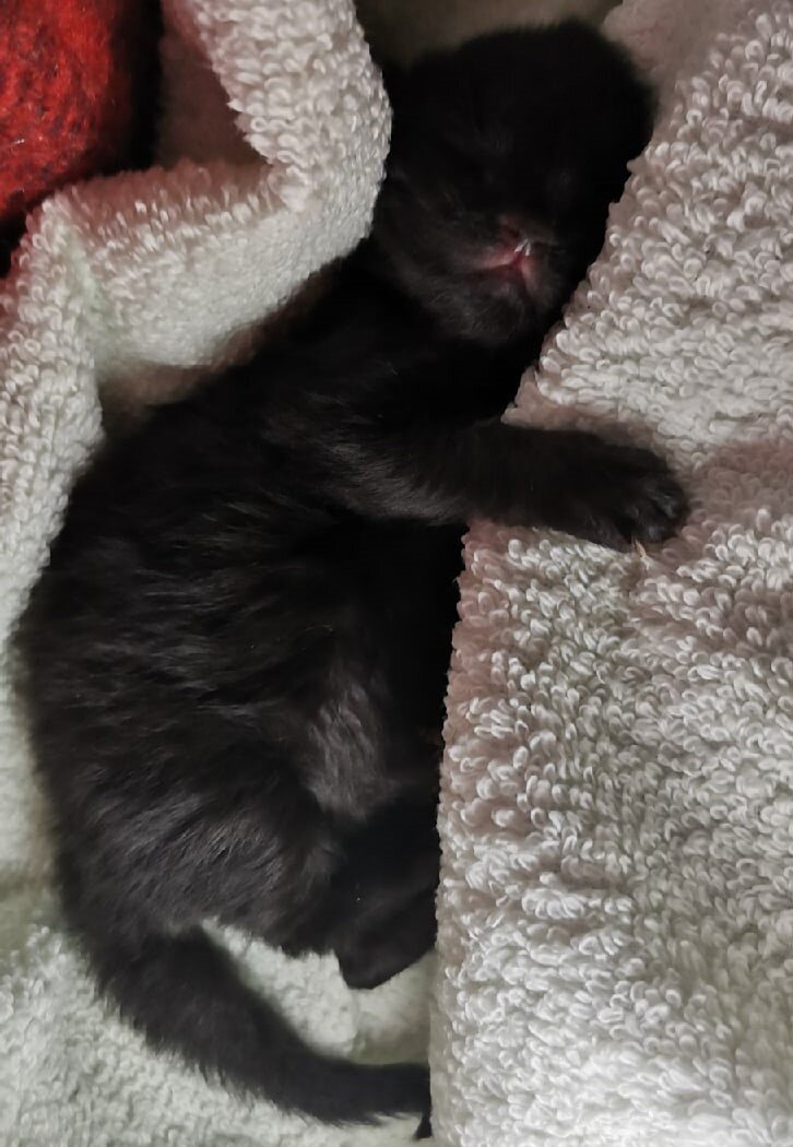 Блаженный сон после кормления