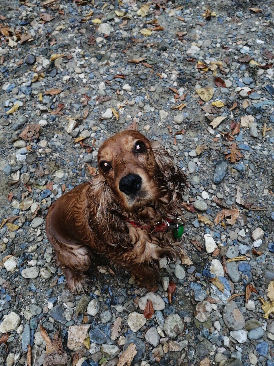 сладкая наша булочка