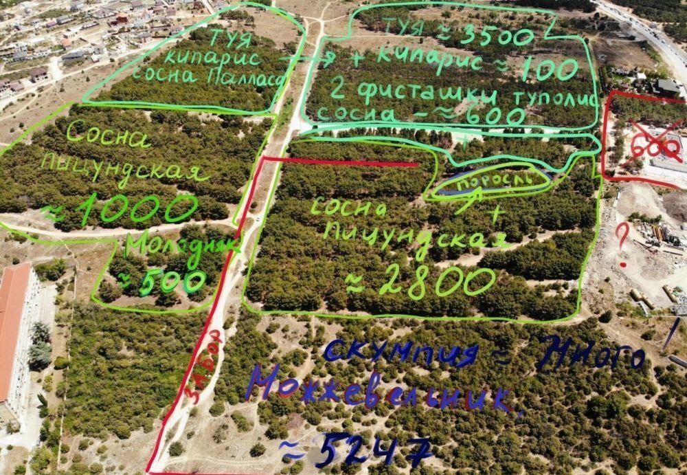 Структура зеленых насаждений на месте строительства кластера в Севастополе. Скриншот форума vk.com/sev.blacklist