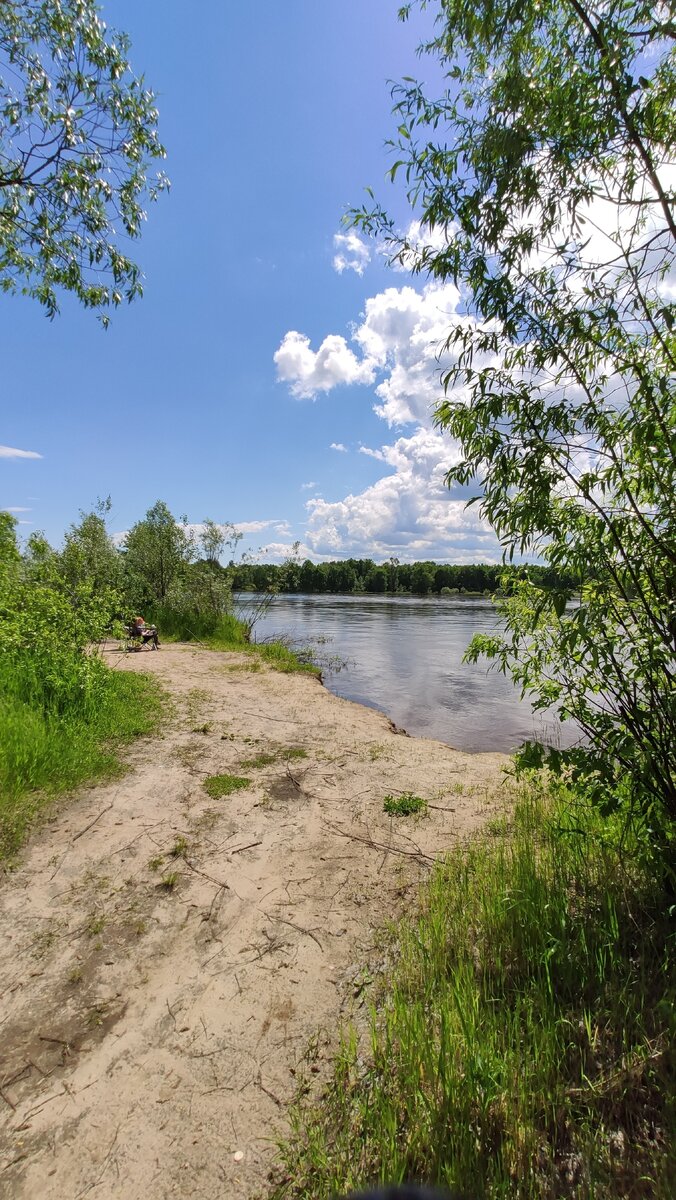 Левый берег Ветлуги, окрестности посёлка Юркино, Юринский район, Марий Эл