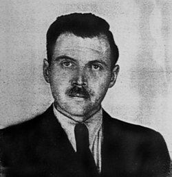 Йозеф Менгеле (нем. Josef Mengele)