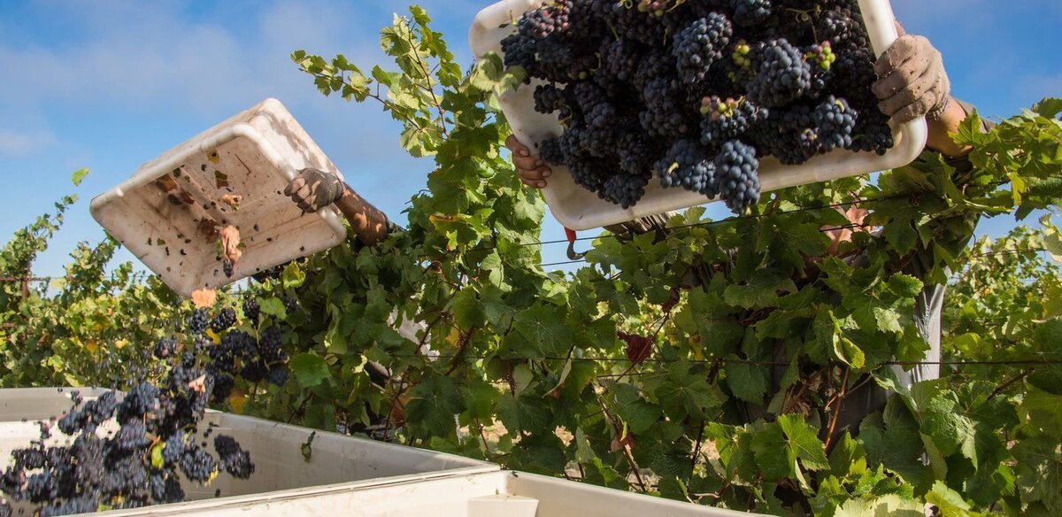 © Андрей Ковалев