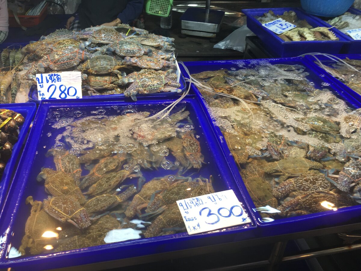 рыбный рынок в паттайе. рыбный рынок на наклыа в паттайе. рыбный рынок на наклыа в паттайе. паттайя рыбный рынок наклуа. рыбный рынок на наклыа в паттайе.