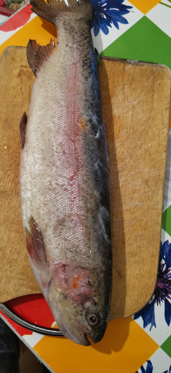 Вот она рыба моей мечты 