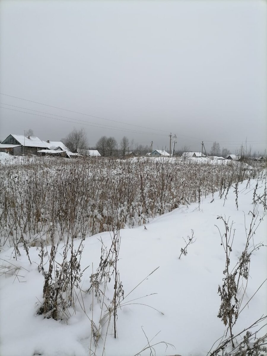 Пруд в деревне