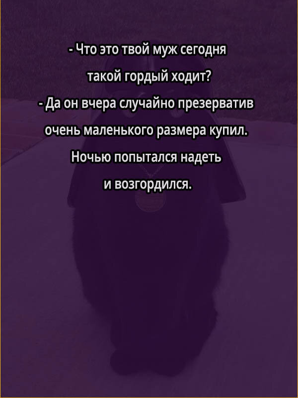 мужская гордость