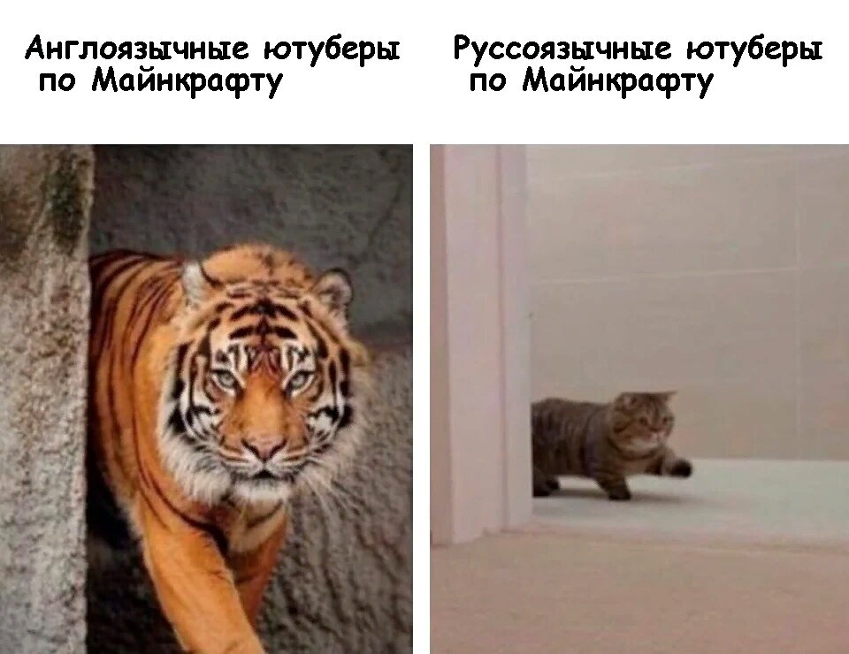 И почему так всегда?