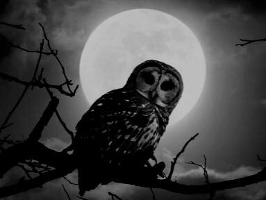 Фото с интернета