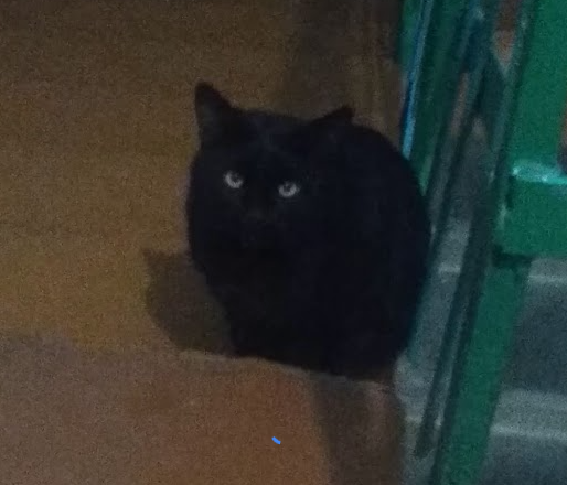 из личного архива