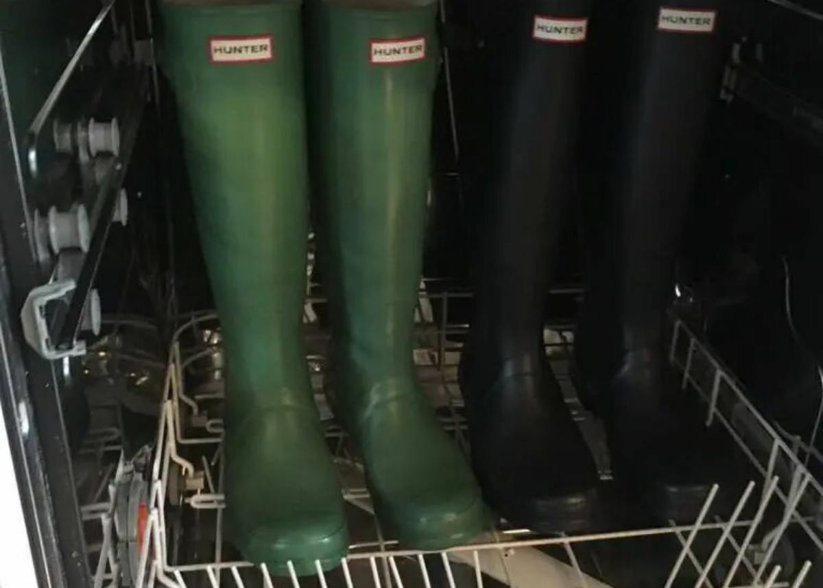 фотосток  LOON, обработано в Канва.