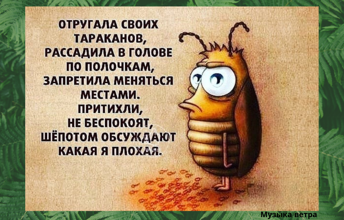 Анекдот про тараканов. Приколы про тараканов в голове. Тараканы в голове. Тараканы в голове приколы. Тараканы в голове картинки.