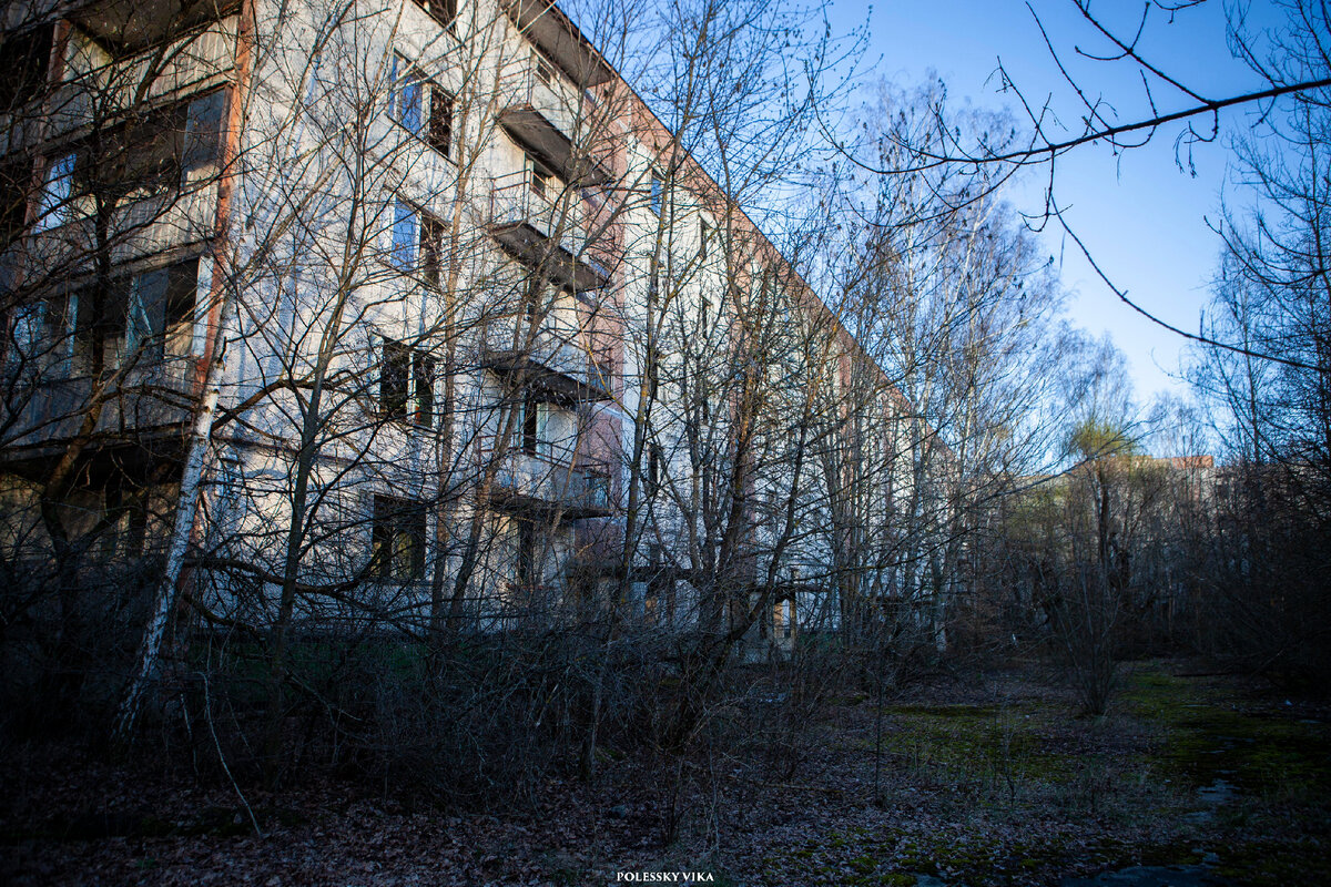 Как выглядит Припять в наши дни и можно ли там жить - свежие фото. От ...
