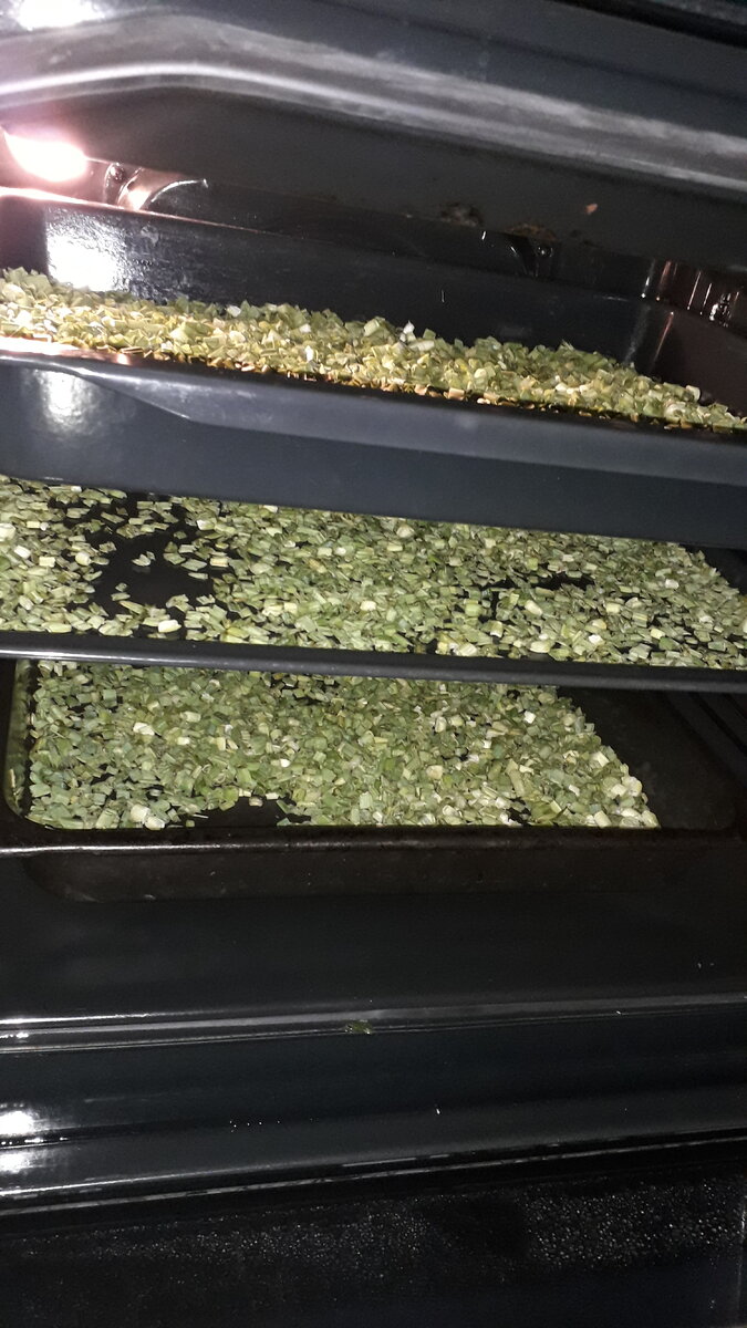 Это - почти высохший лук. 