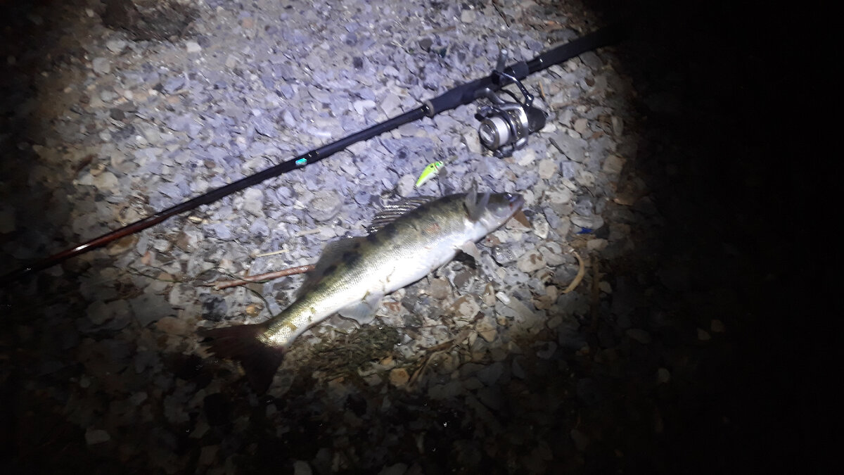 Этот "сударь" уже не плох.