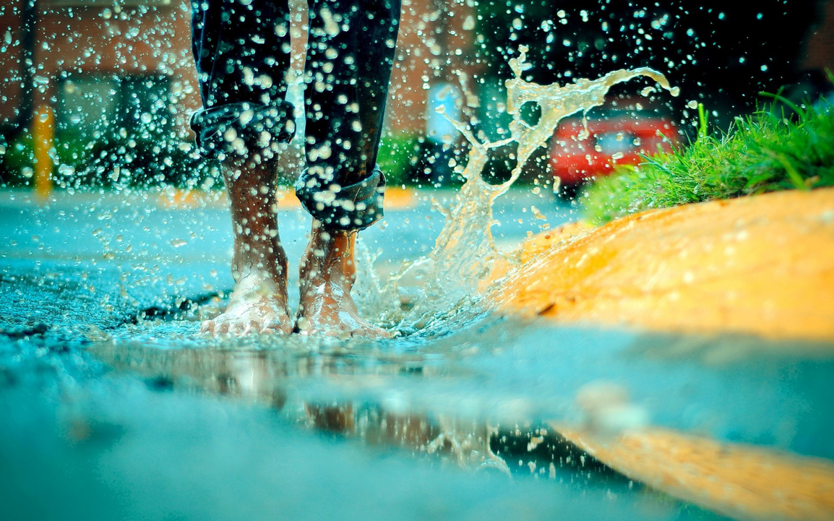 Яндекс Картинки