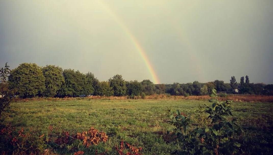 Фото — yandex.net